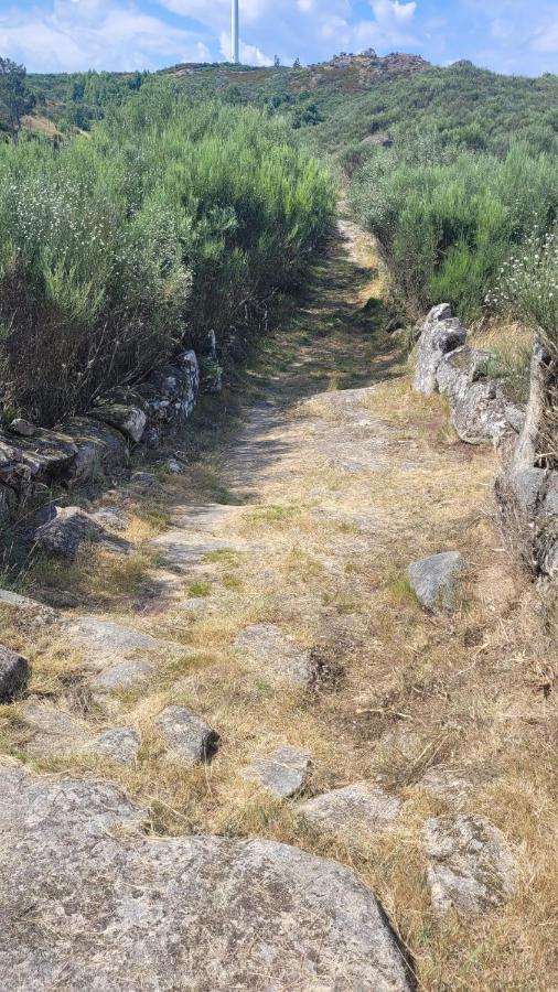 Casinhas Da Eira Caramulo Turismo Rural Arca 外观 照片