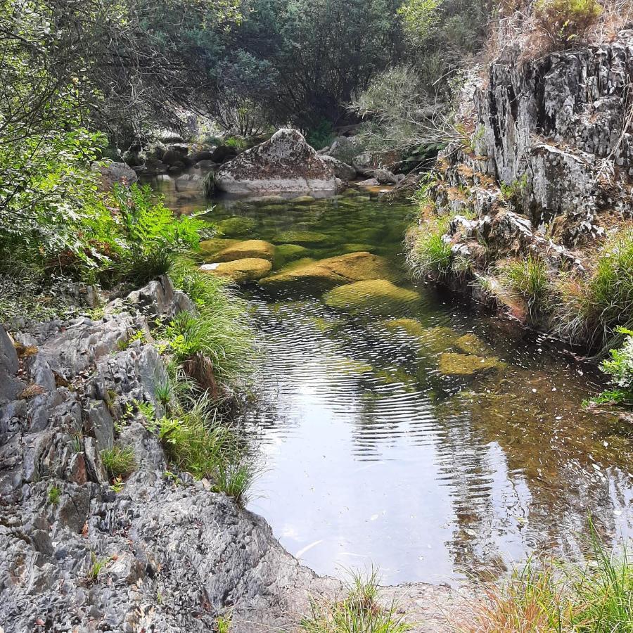 Casinhas Da Eira Caramulo Turismo Rural Arca 外观 照片