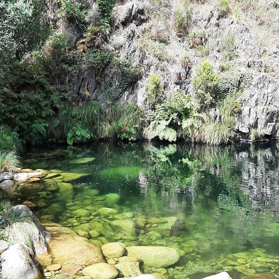 Casinhas Da Eira Caramulo Turismo Rural Arca 外观 照片